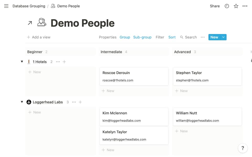 Notion Database Grouping: People by Experience