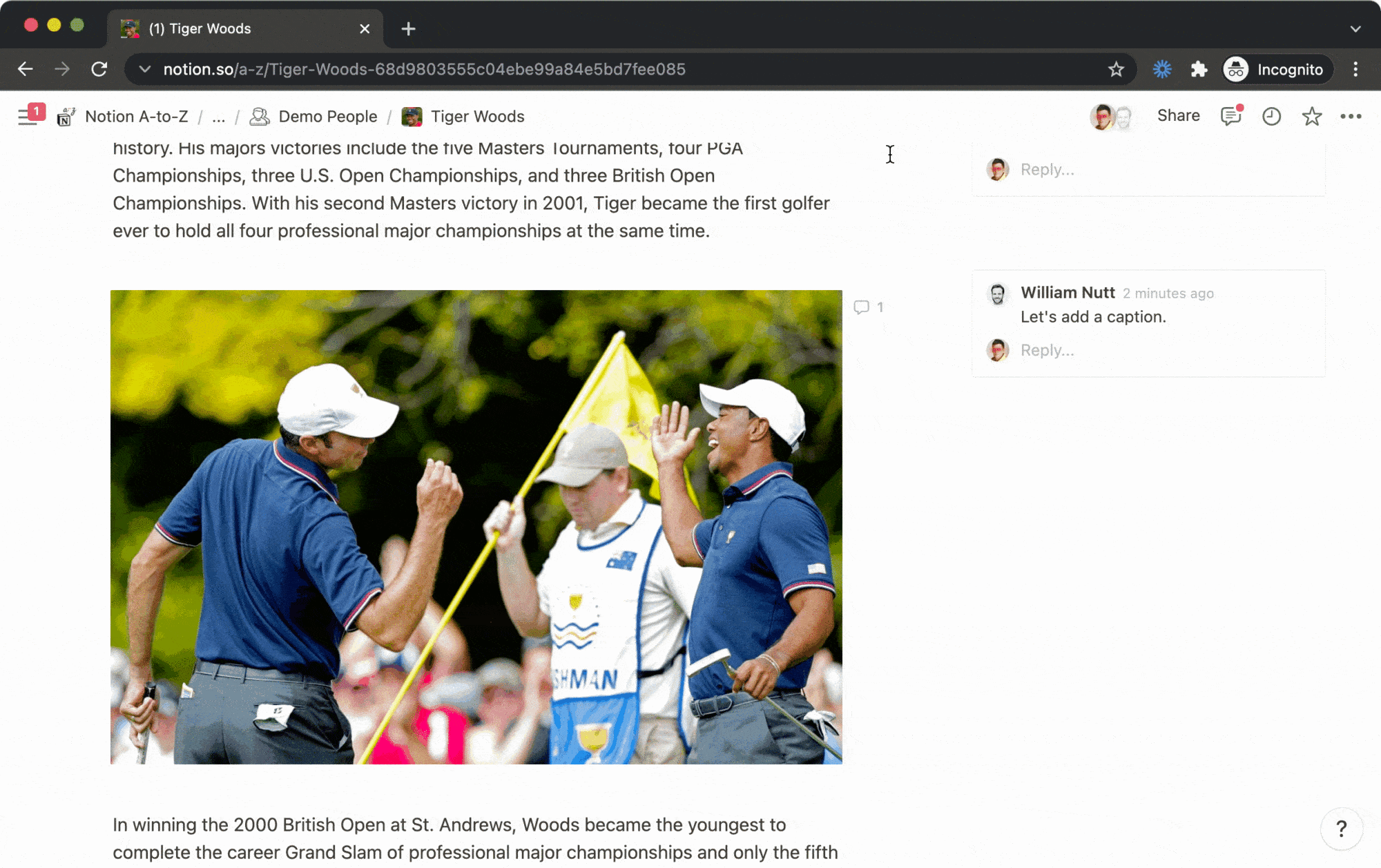 Notion Comments: Comment Sidebar