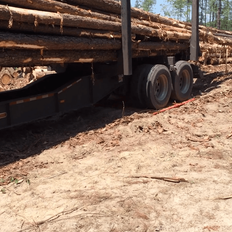 How It Works - Logging Scales | Maxi-Load Scales