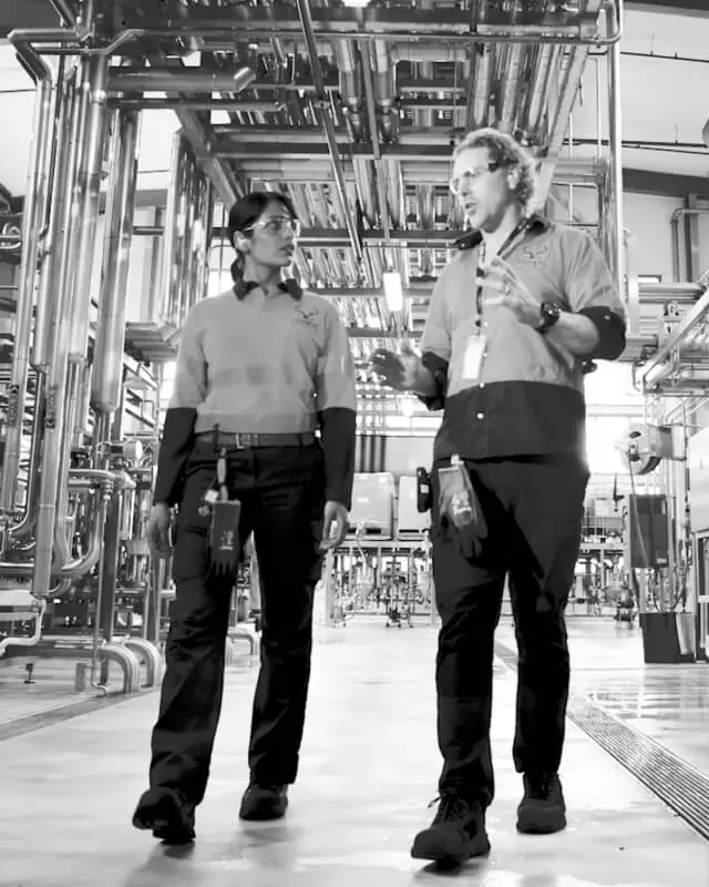 Lion Hops From a Ransomware Attack to a Resilient Security Infrastructure With Illumio