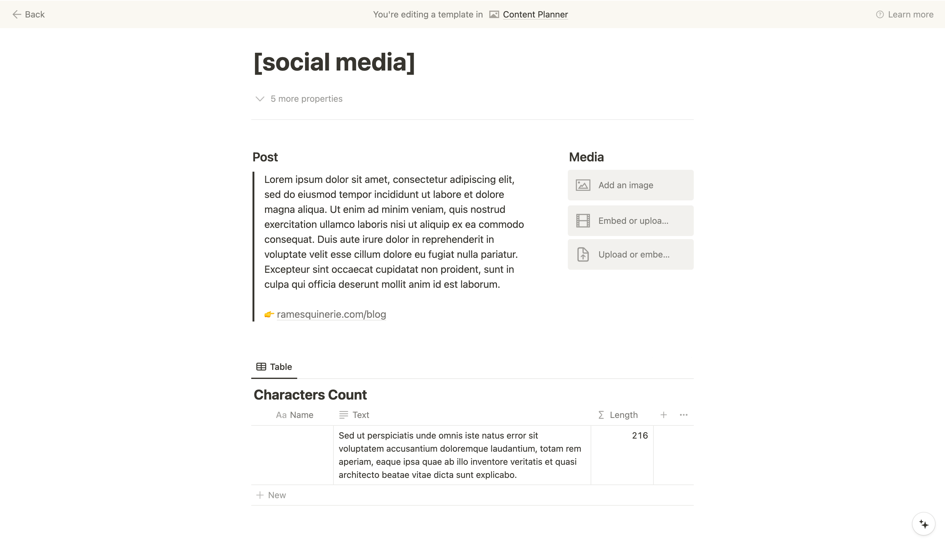 Planificateur de contenus Notion | Template de réseaux sociaux