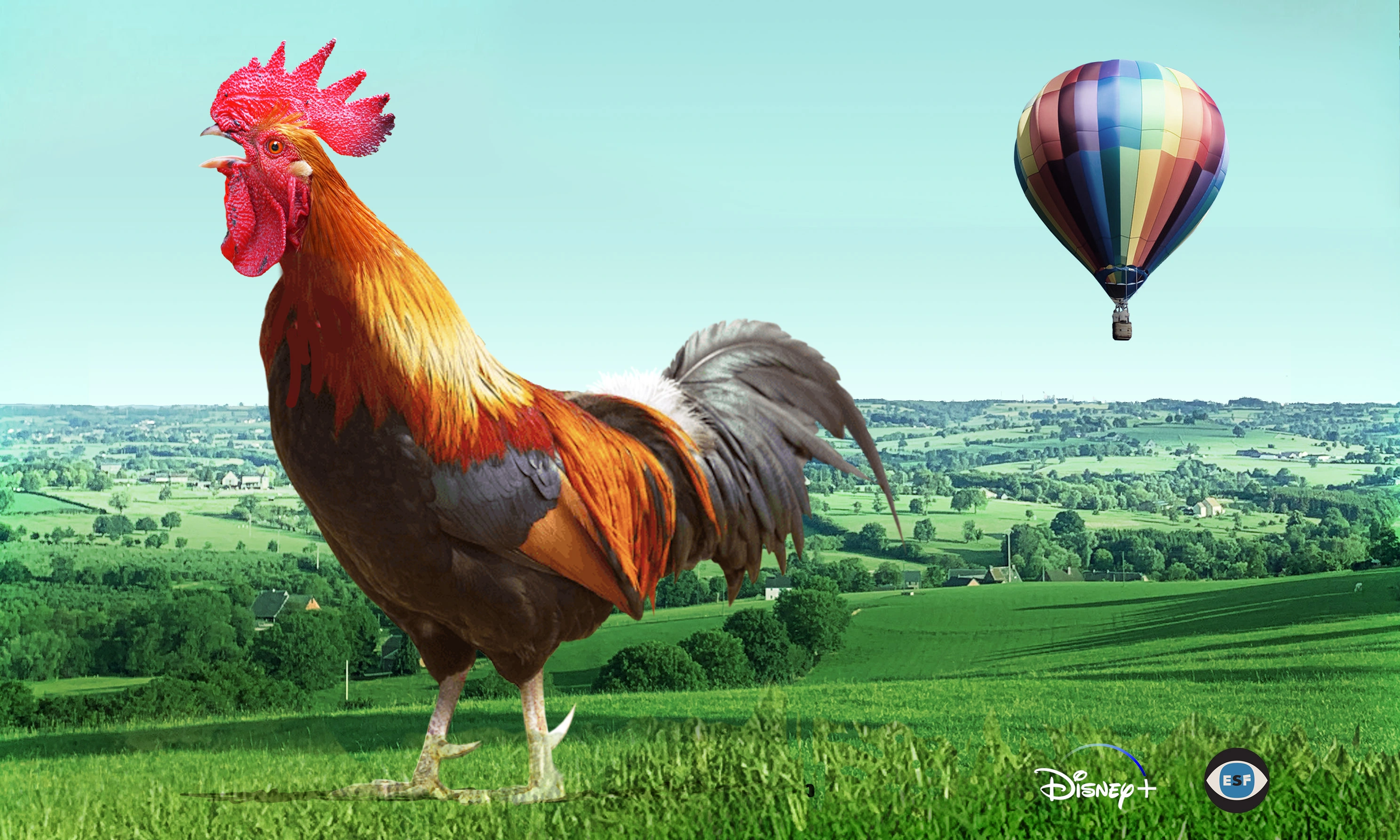 Fly the Coop Elbe Stevens Films