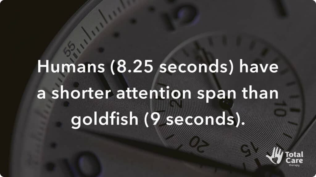 humans have a shorter attention span than goldfish