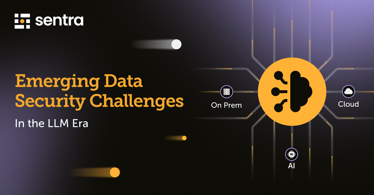Data Security Challenges In the LLM Era | Sentra Blog