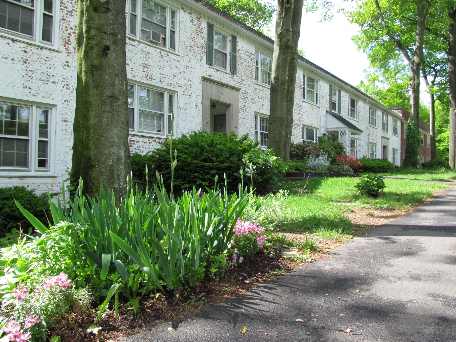 Jericho Manor Apartments Halfpenny Management