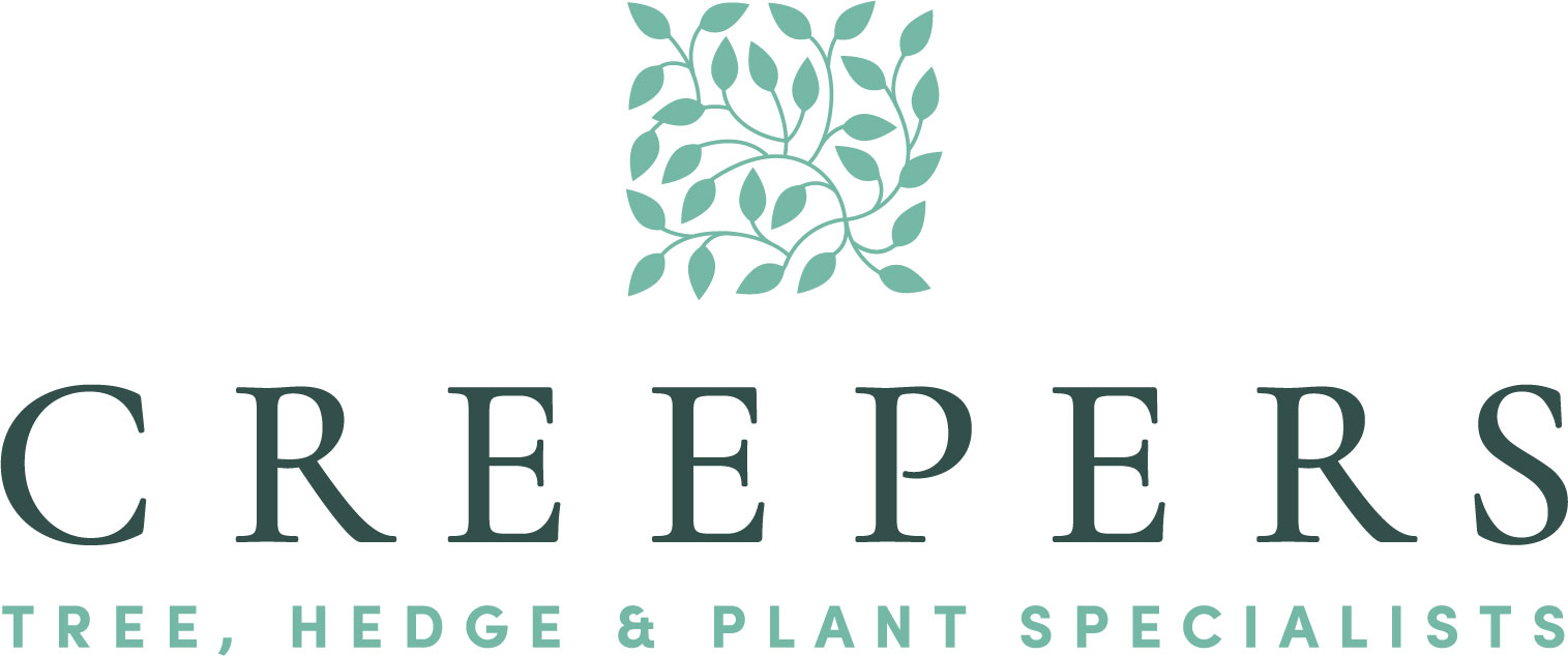 Creepers Wholesale Nursery UK and Europe's Premier Plant Source