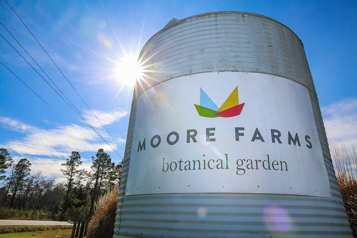 Internship Opportunities Moore Farms Botanical Garden