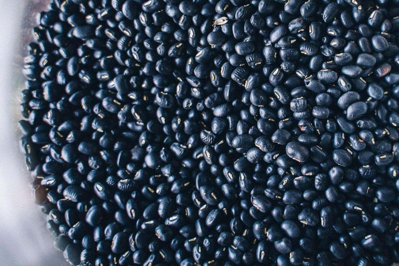 Benefits of Black Beans A Superfood to Include in Your Diet Signos
