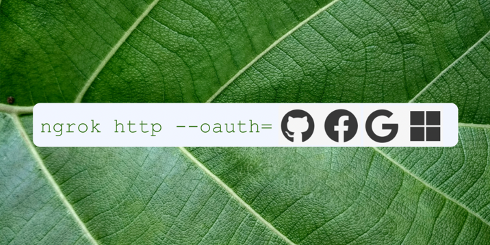 ngrok blog: Securing your Applications with OAuth 2.0 in seconds