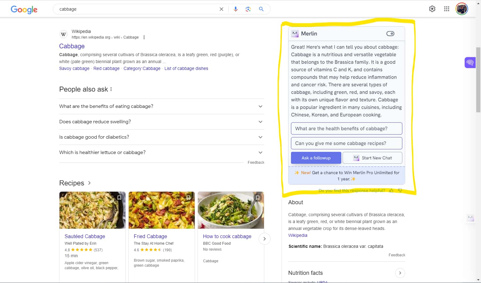 Merlin AI Review - Write, Summarize, Code, and Play – Originality.AI