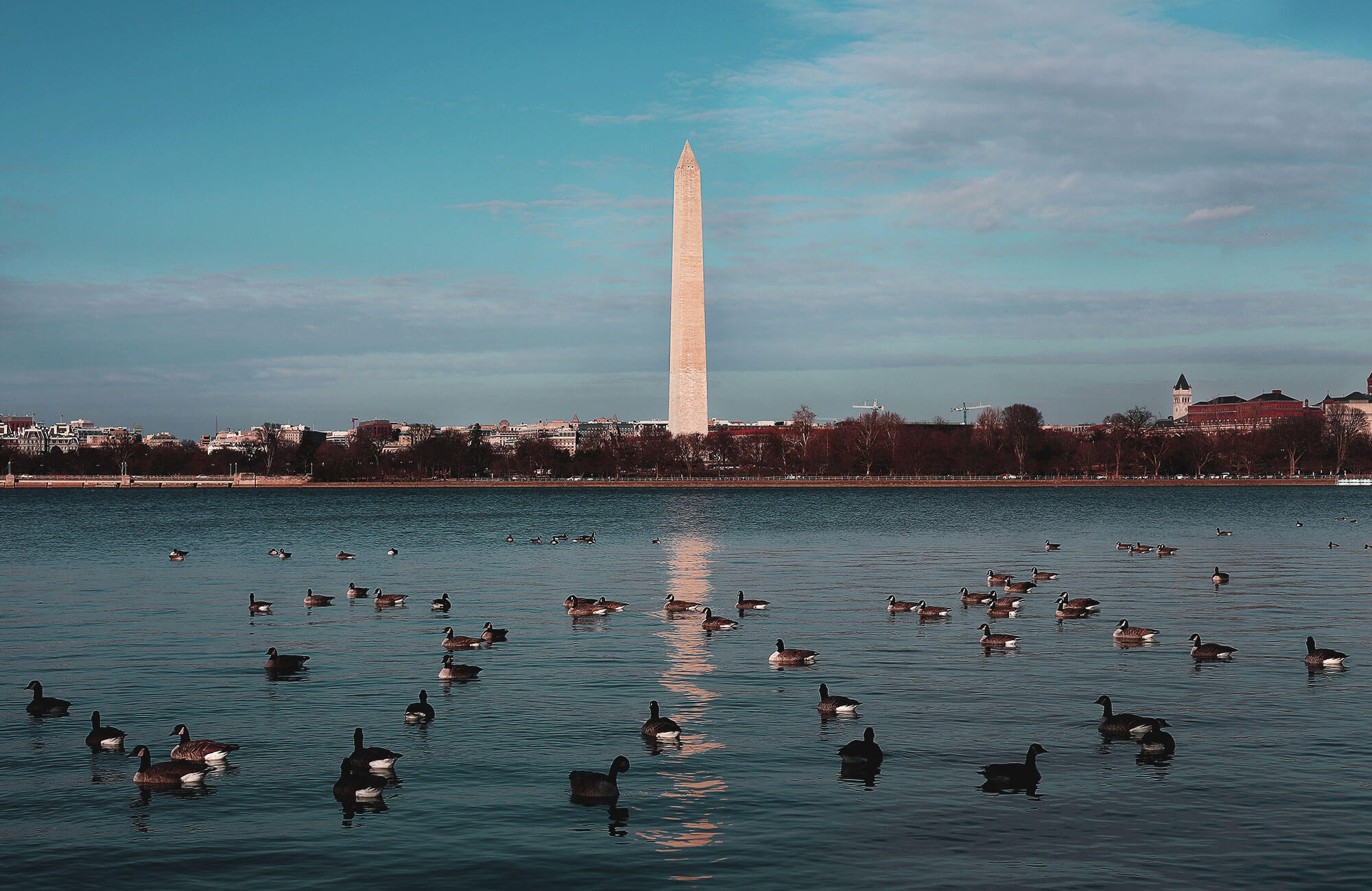 Neighborhood Guides Buying & Selling Gordon James Realty