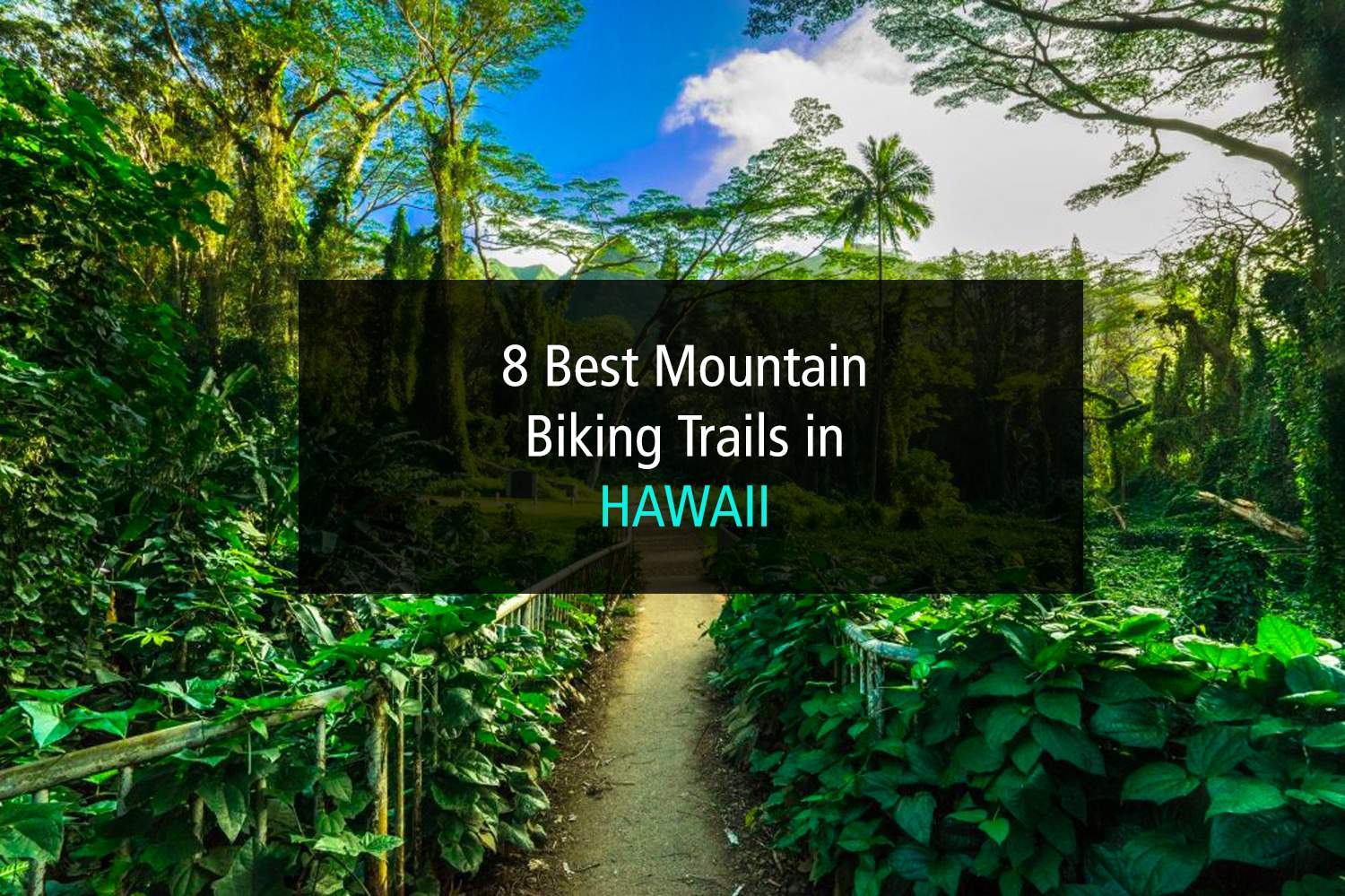 The 8 Best Mountain Biking Trails in Hawaii Intermountain Bikes