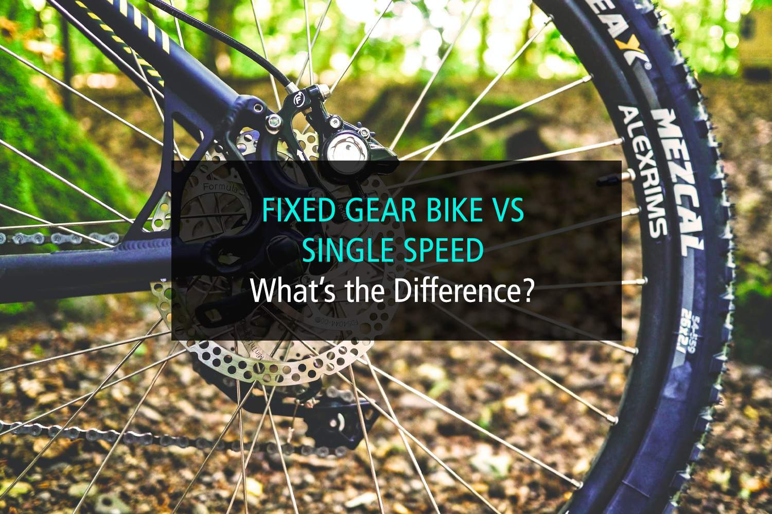 Fixed Gear Bike vs Single Speed What’s the Difference? Intermountain Bikes