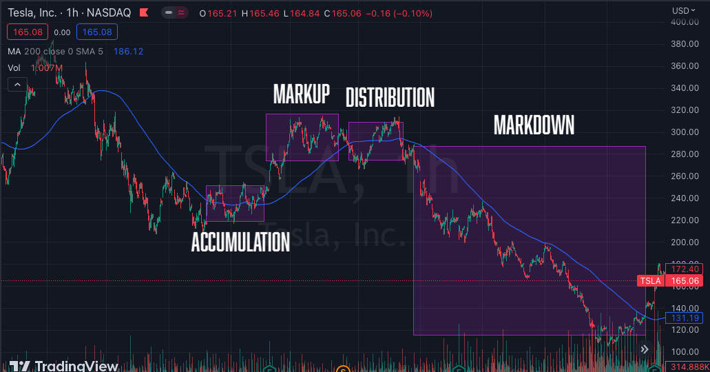 Four Market Phases Basics - Evolve Algo - AI Trading Algorithms image.