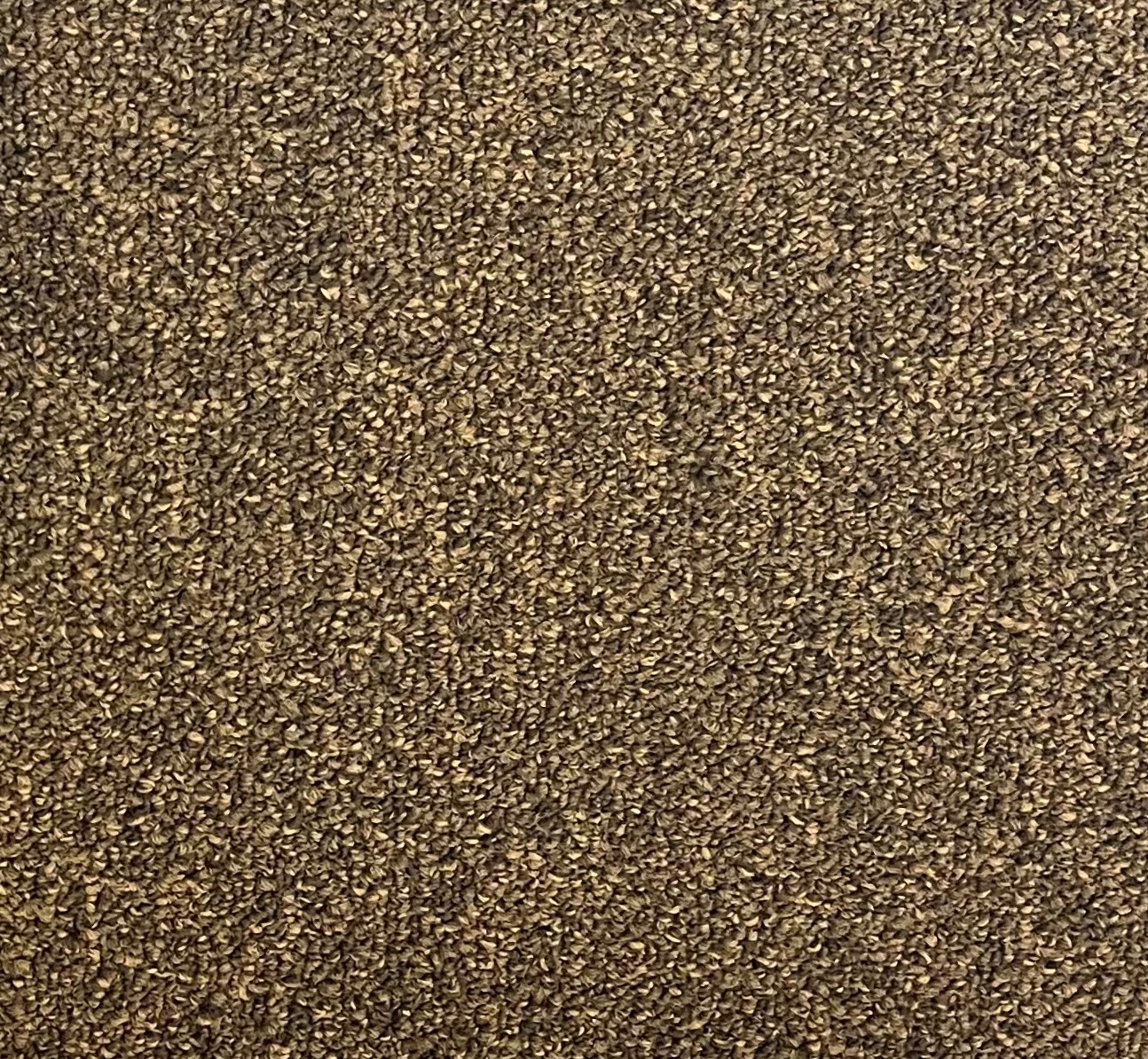 3186 Commercial Norman Carpet one