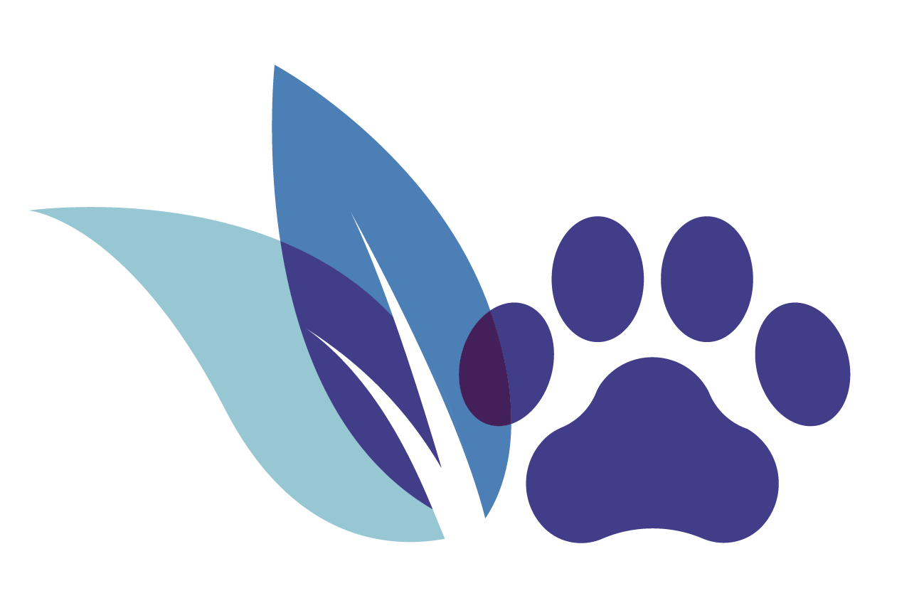 Thumbnail for Smartocean Revitalizing Pet Collar With Iron