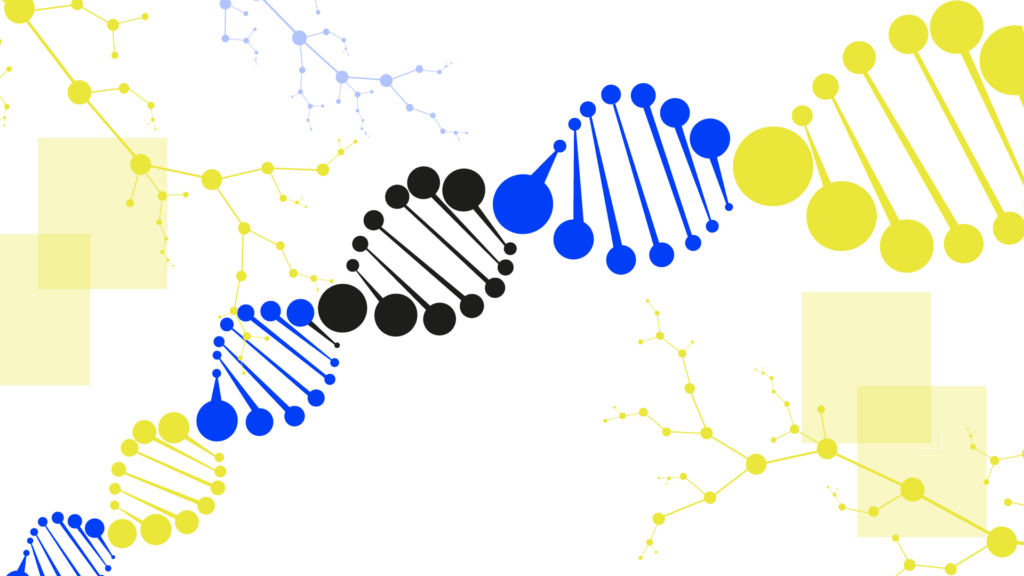 How Natural Selection is Present in Genetic Algorithms