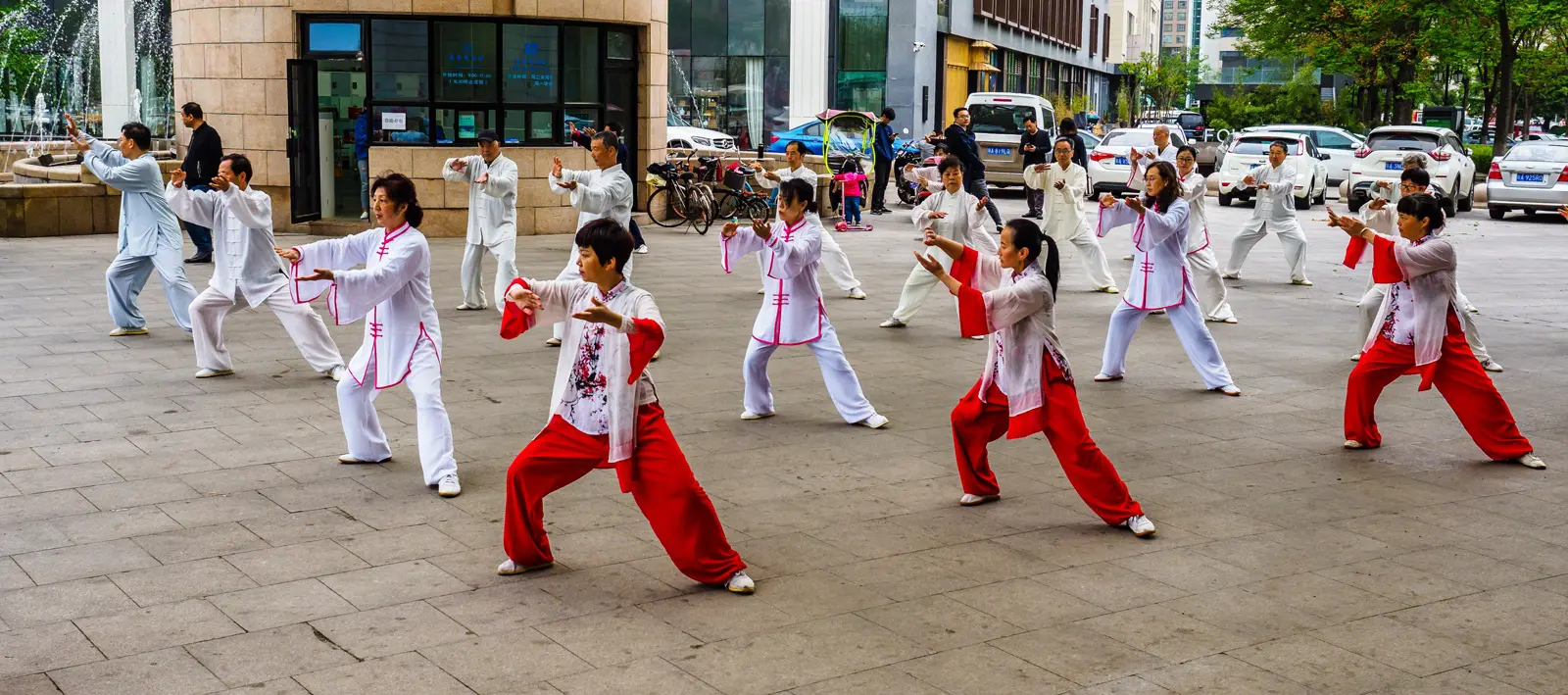 The Graceful Power of Tai Chi Exploring the Ancient Chinese Martial