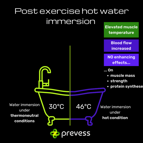 Effects of HotWater Immersion on Muscle Development