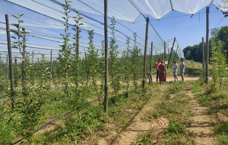 EcoFarms - La solution pour les réseaux agricoles responsables