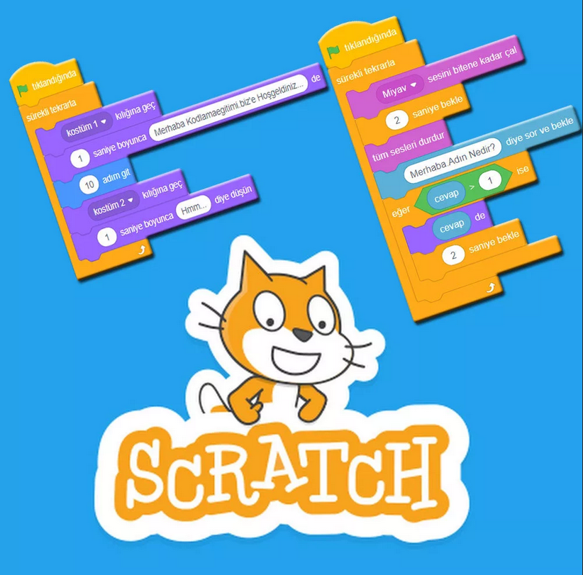 История Scratch