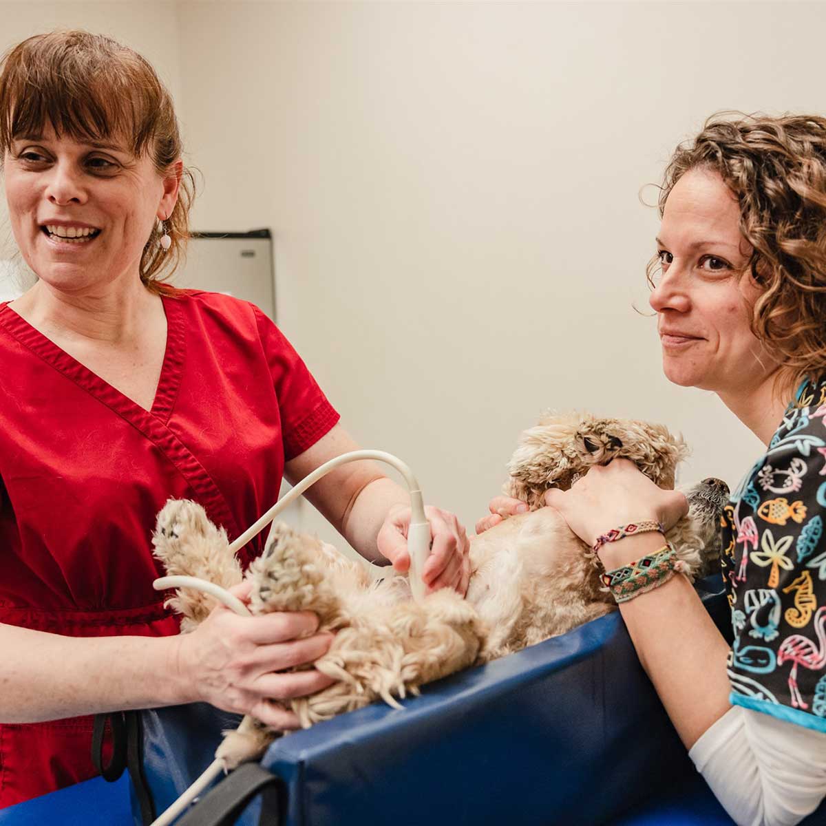 Radiology/Ultrasound