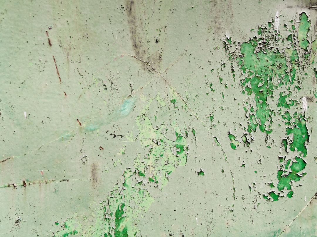 How To Remove Mould From Walls Without Damaging Paint