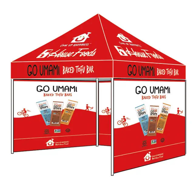 Eurmax 10x10 Canopy Tent First Hand Review