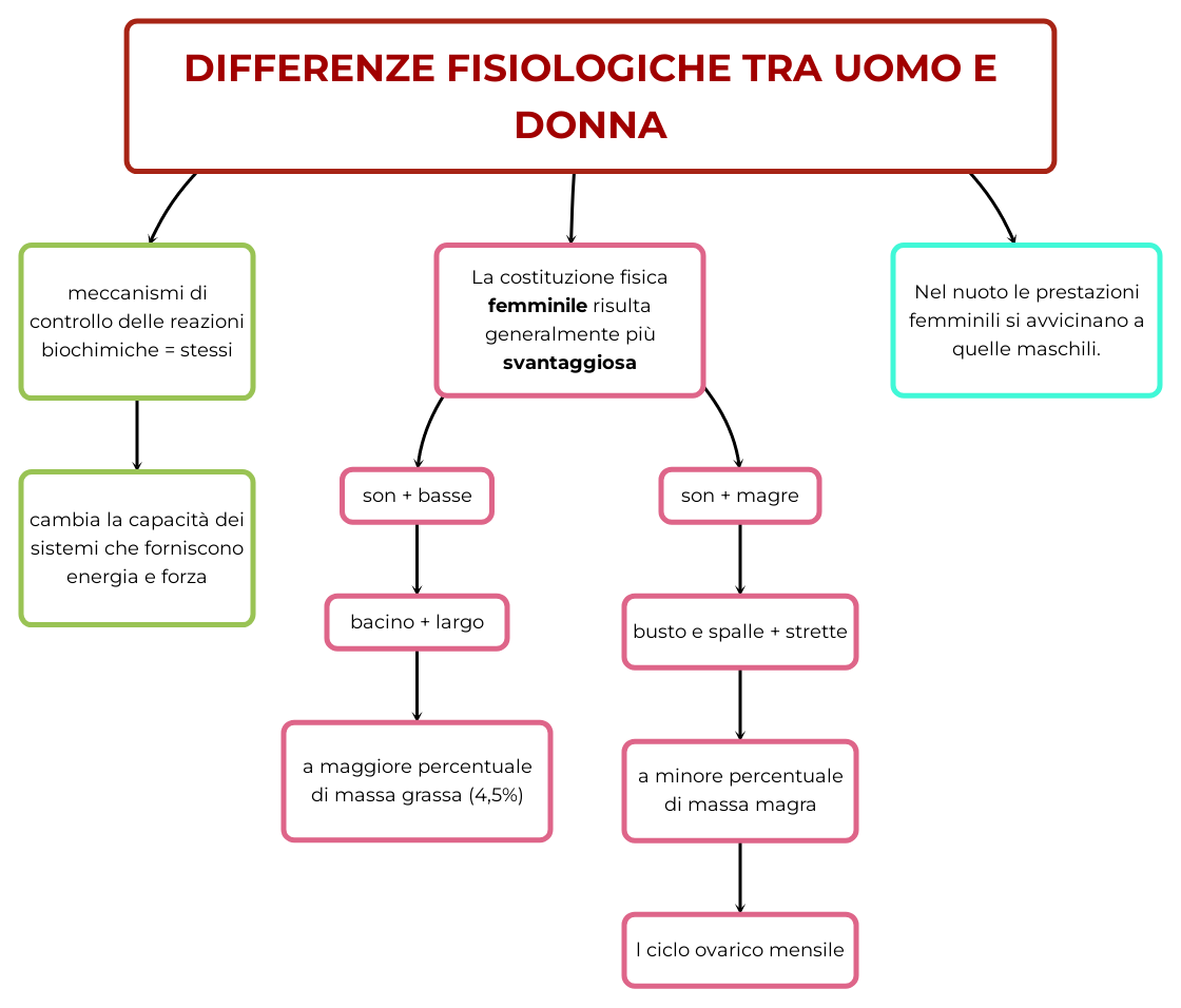 DIFFERENZE FISIOLOGICHE TRA UOMO E DONNA Mappa e riassunto