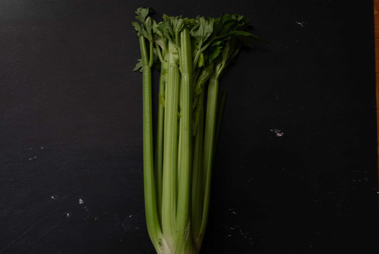 Dr. Sherri Greene Restorative medicine breakfast start with celery juice