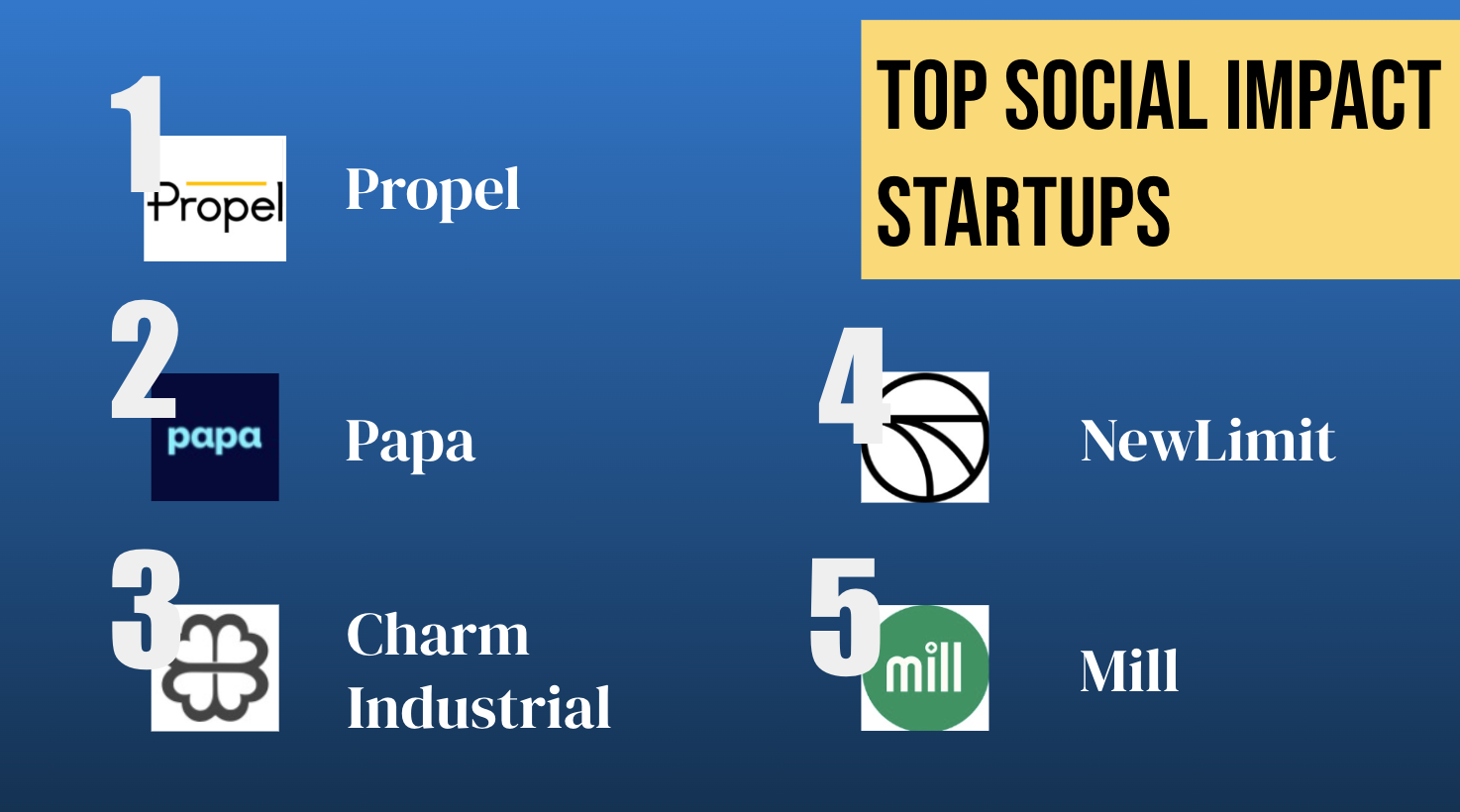 Top Social Impact Startups 2024