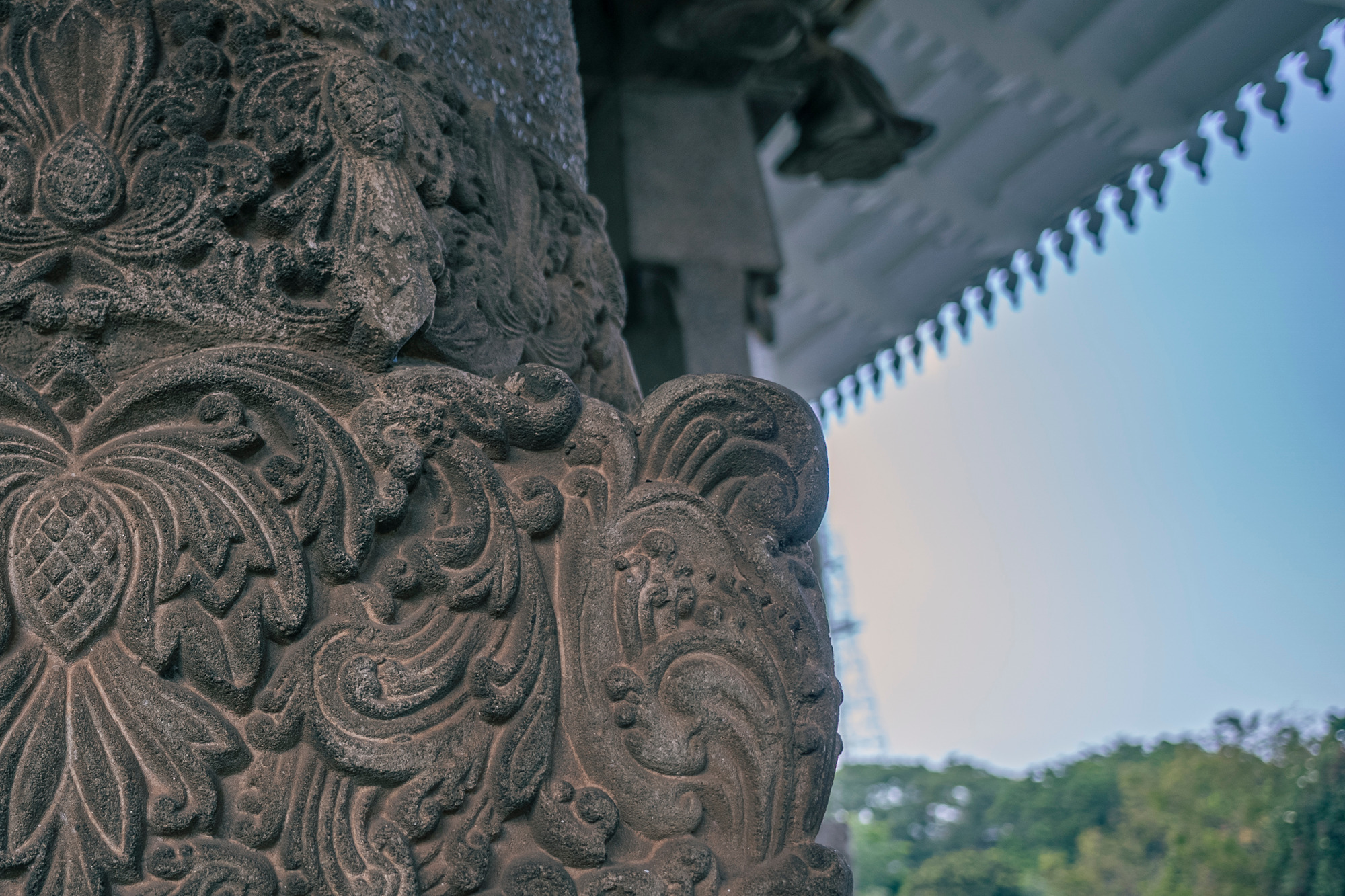 Sri Lanka Barometer Public Opinion Survey 2021