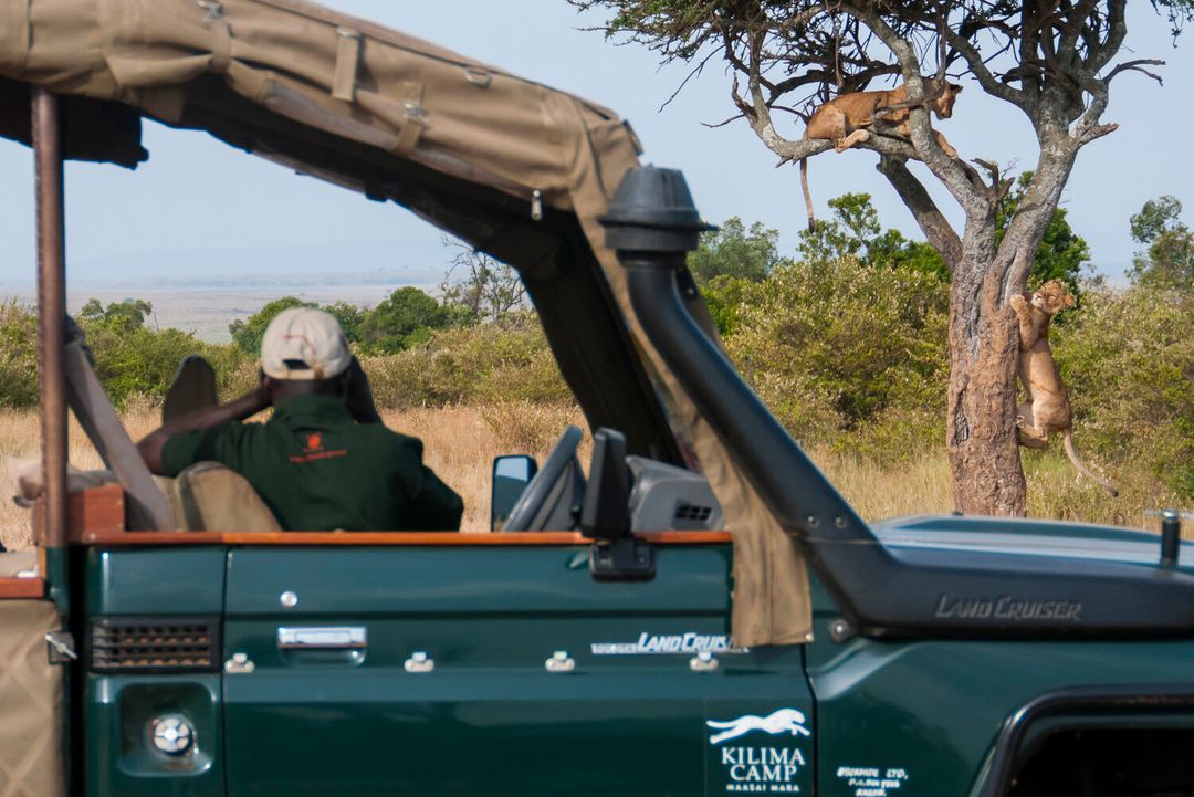Kilima Camp game drive vehicle in the Maasai Mara