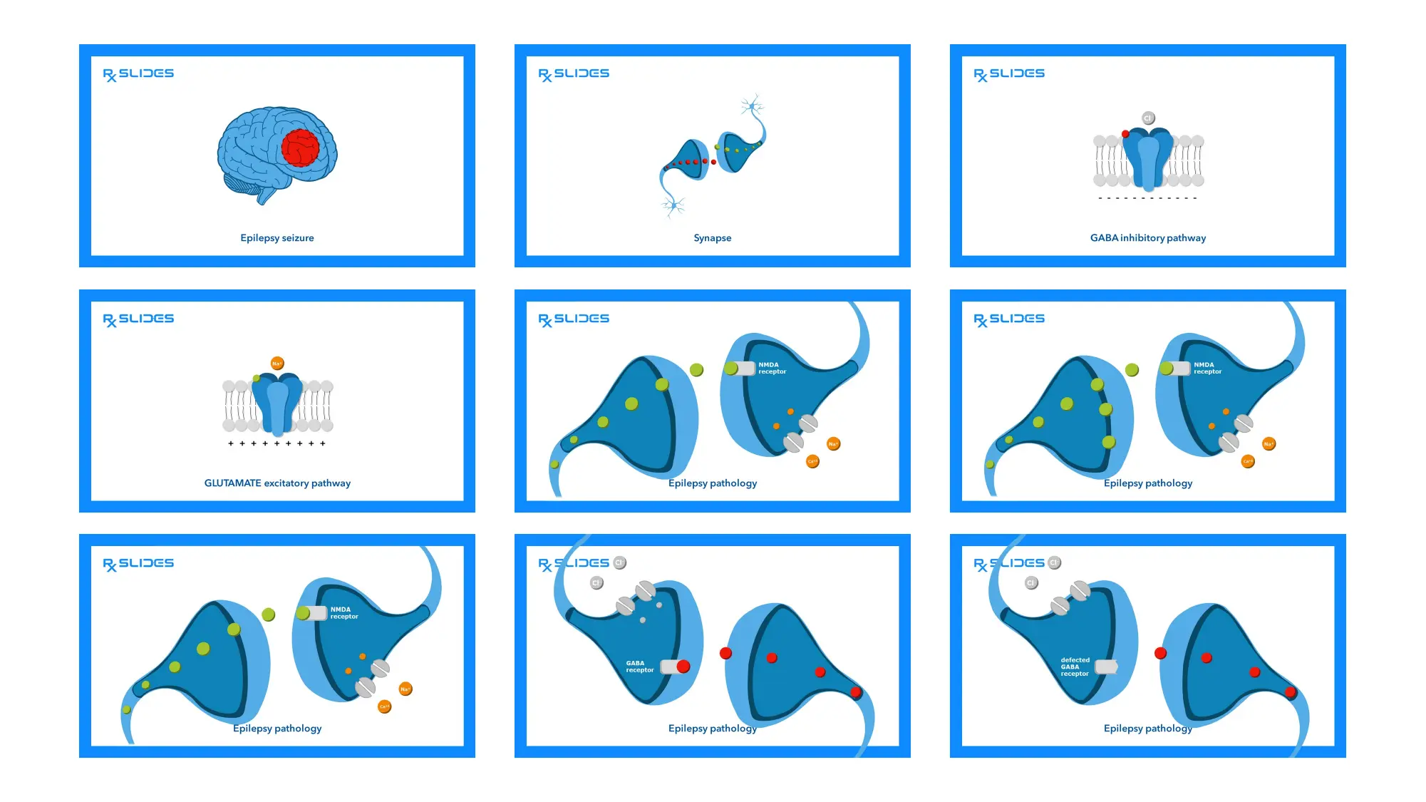 Download Epilepsy PowerPoint Template| RxSlides