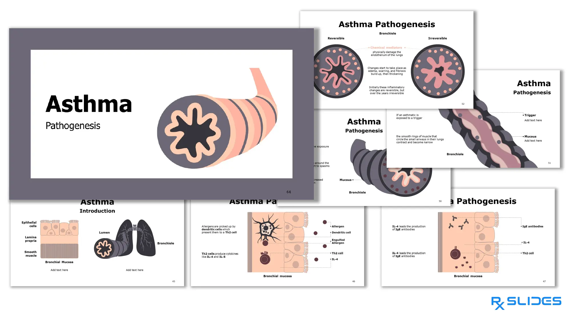 Download Bronchial Asthma PowerPoint Template| RxSlides