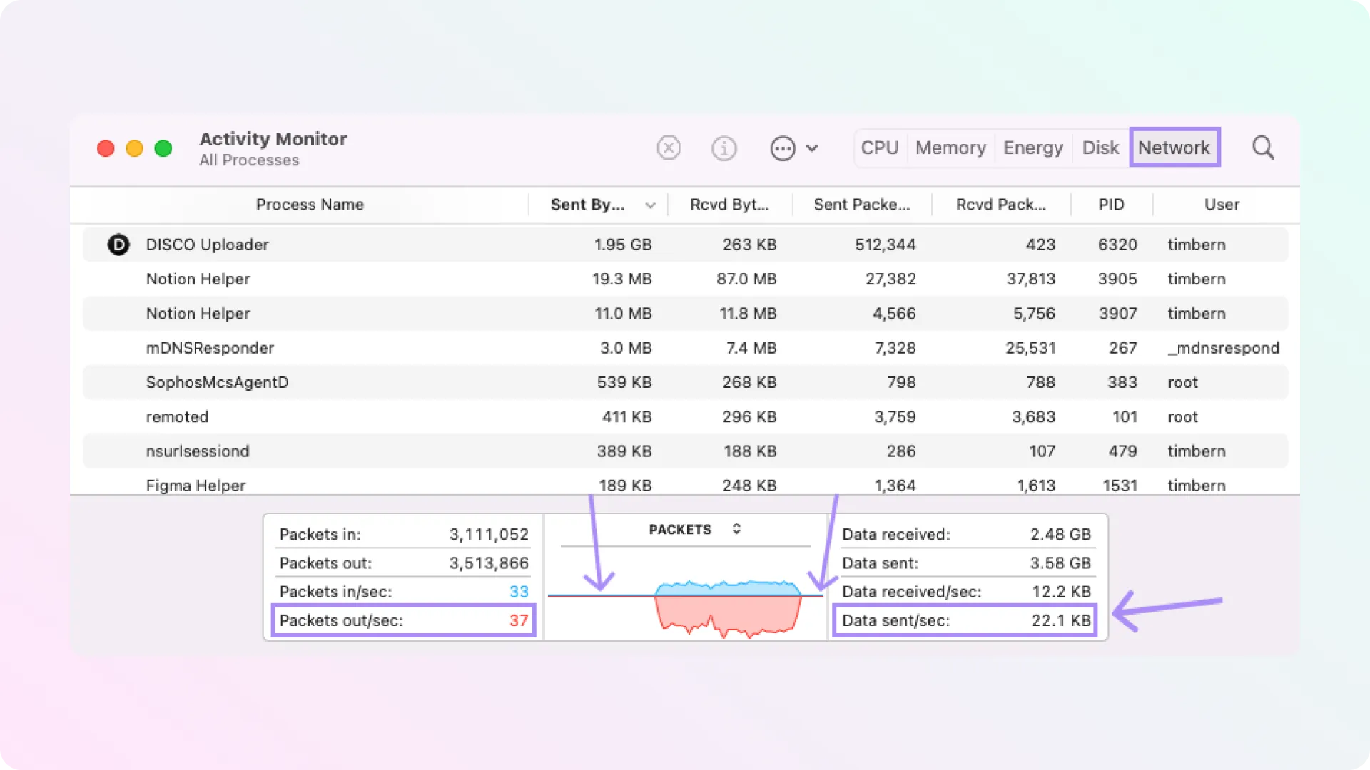 Troubleshooting DISCO Bulk Uploads