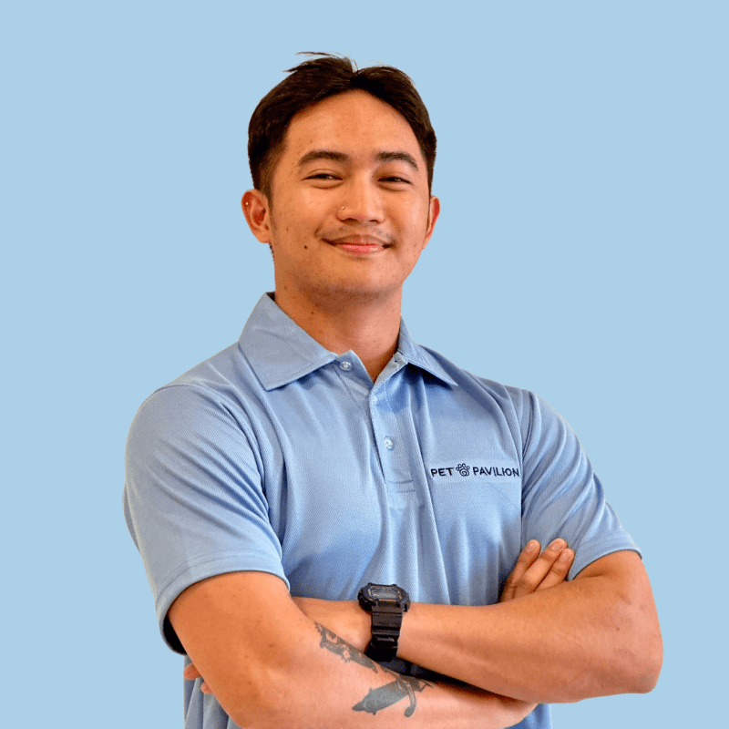 The DogFriendly Places in Abu Dhabi That Will Make Your Pup's Tail Wag