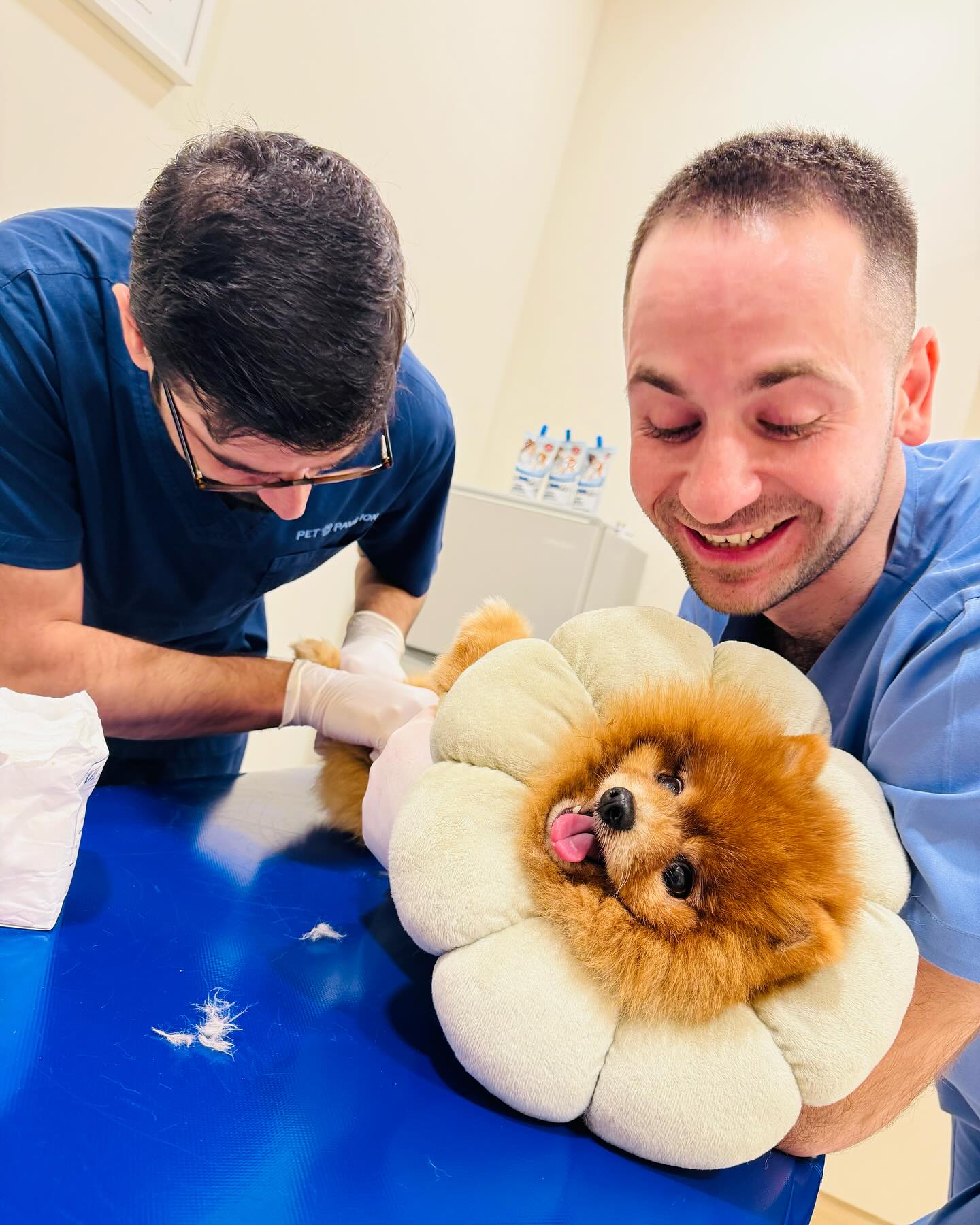 Your Pet's Happy Place Exceptional Care & Comfort at Pet Pavilion