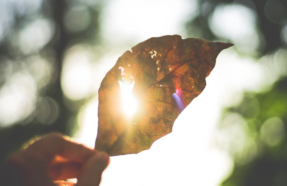 Best Affordable Tent For Hot Weather