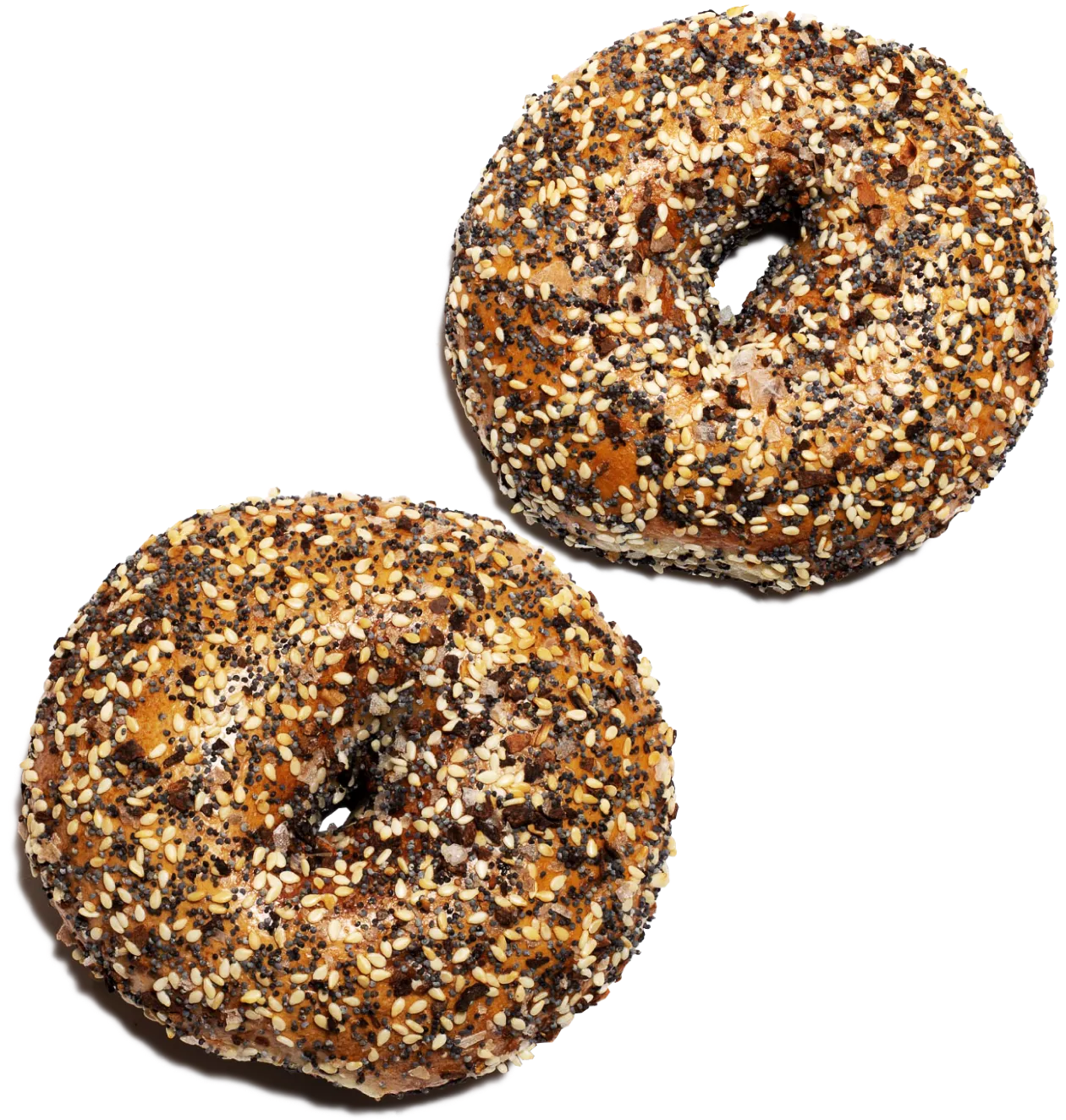 About | Popup Bagels