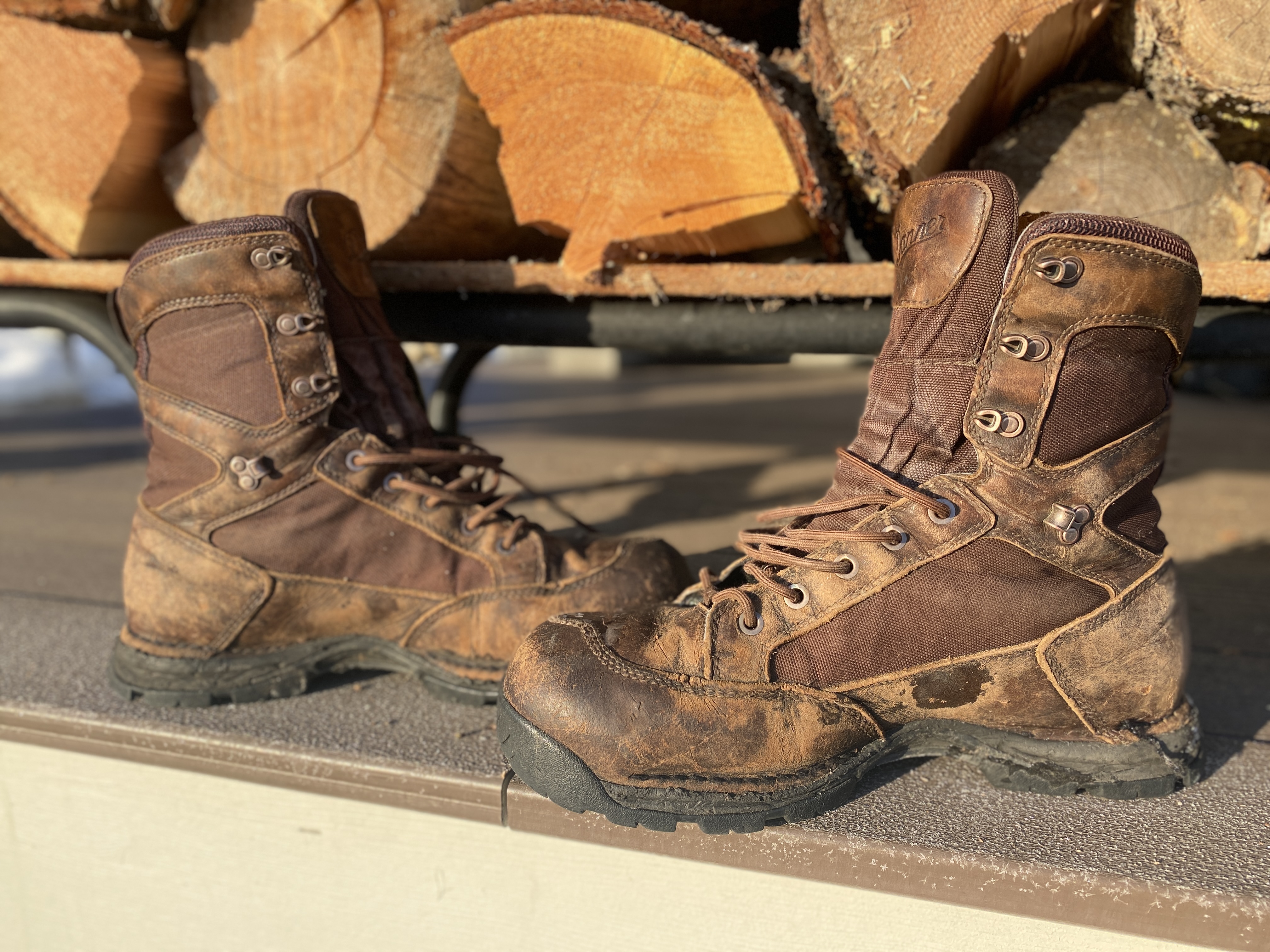 Danner Pronghorn 219 Scheels Danner Pronghorn Men's Danner