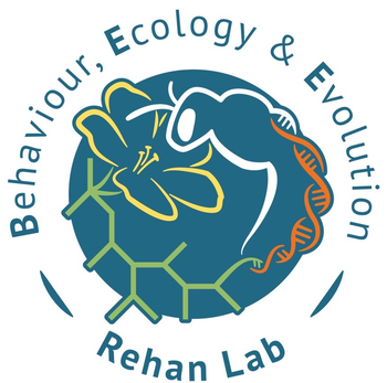 The Rehan Lab @ York 🐝 New Hampshire Beekeepers Association