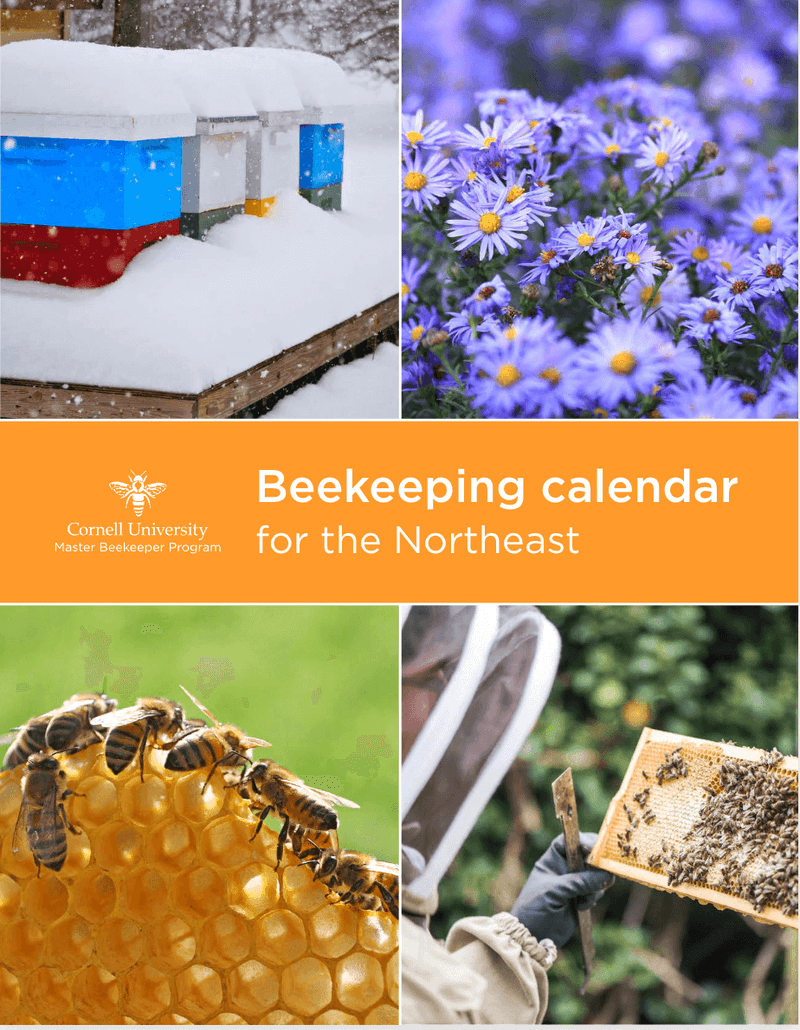 Beekeeping Calendar for the Northeast 🐝 New Hampshire Beekeepers