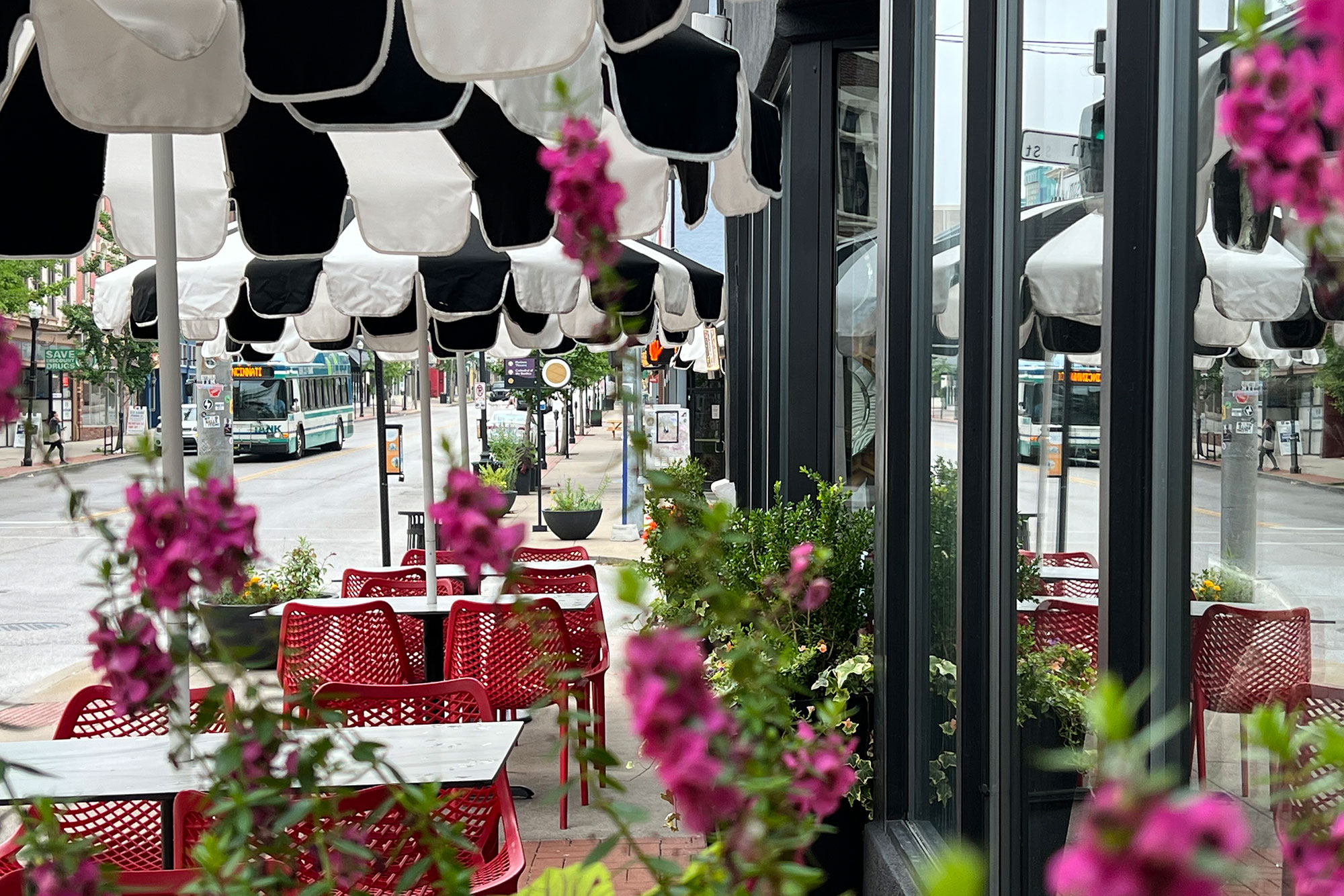 Unleash Flavor with the Best Tacos in Covington, KY - Agave & Rye