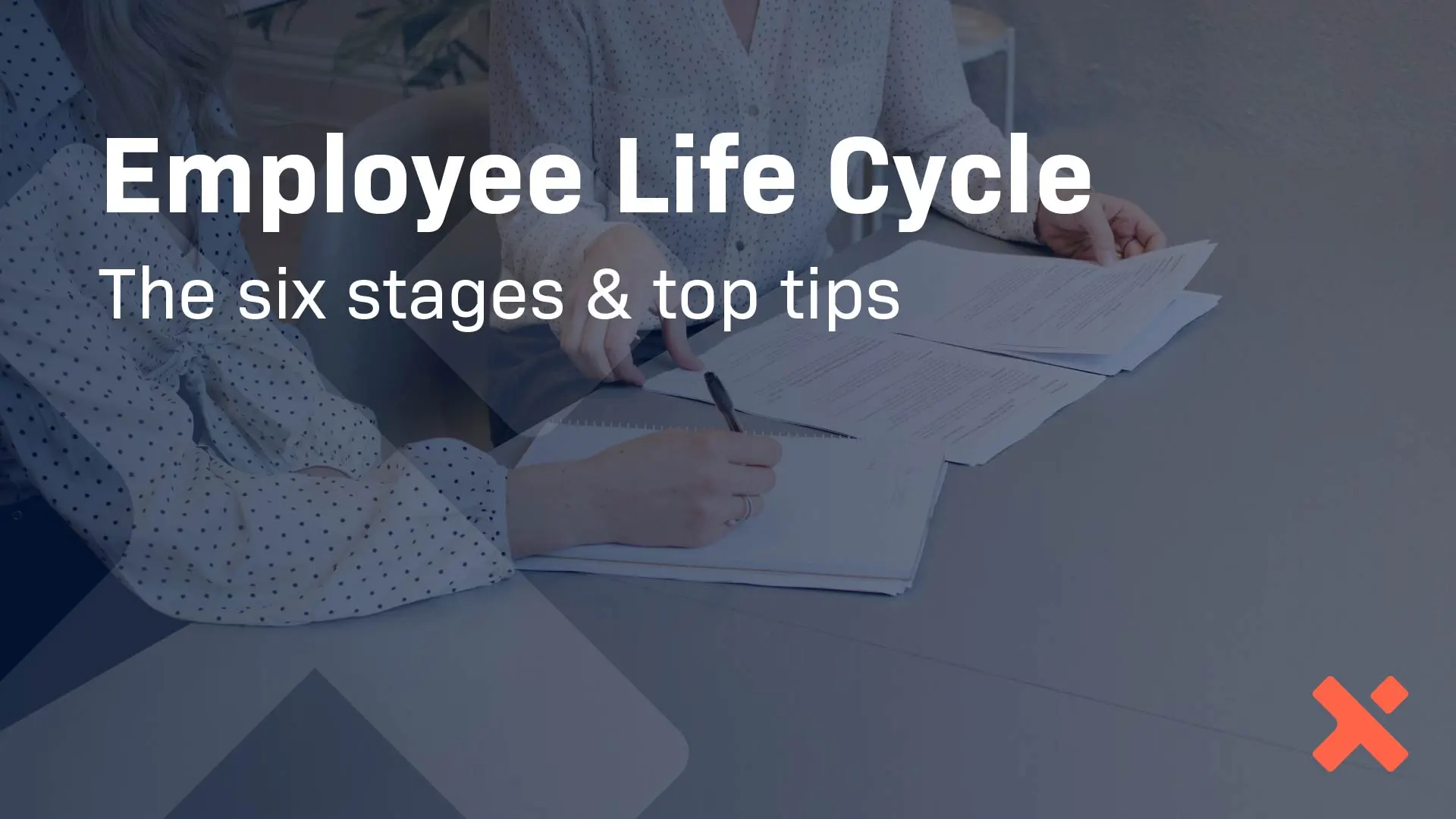 Employee Life Cycle: Understanding the 6 Stages - HumanX