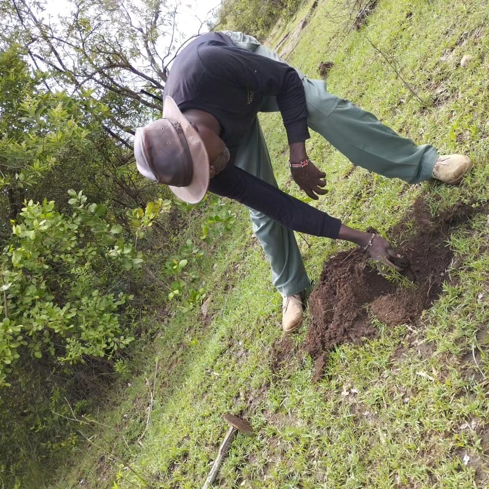 Tree Planting Camp Kilima Camp's Commitment to Conservation: Joining Hands on Kenya's ...
