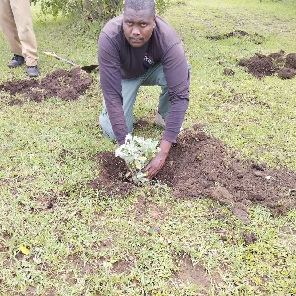 Tree Planting Camp Kilima Camp's Commitment to Conservation: Joining Hands on Kenya's ...