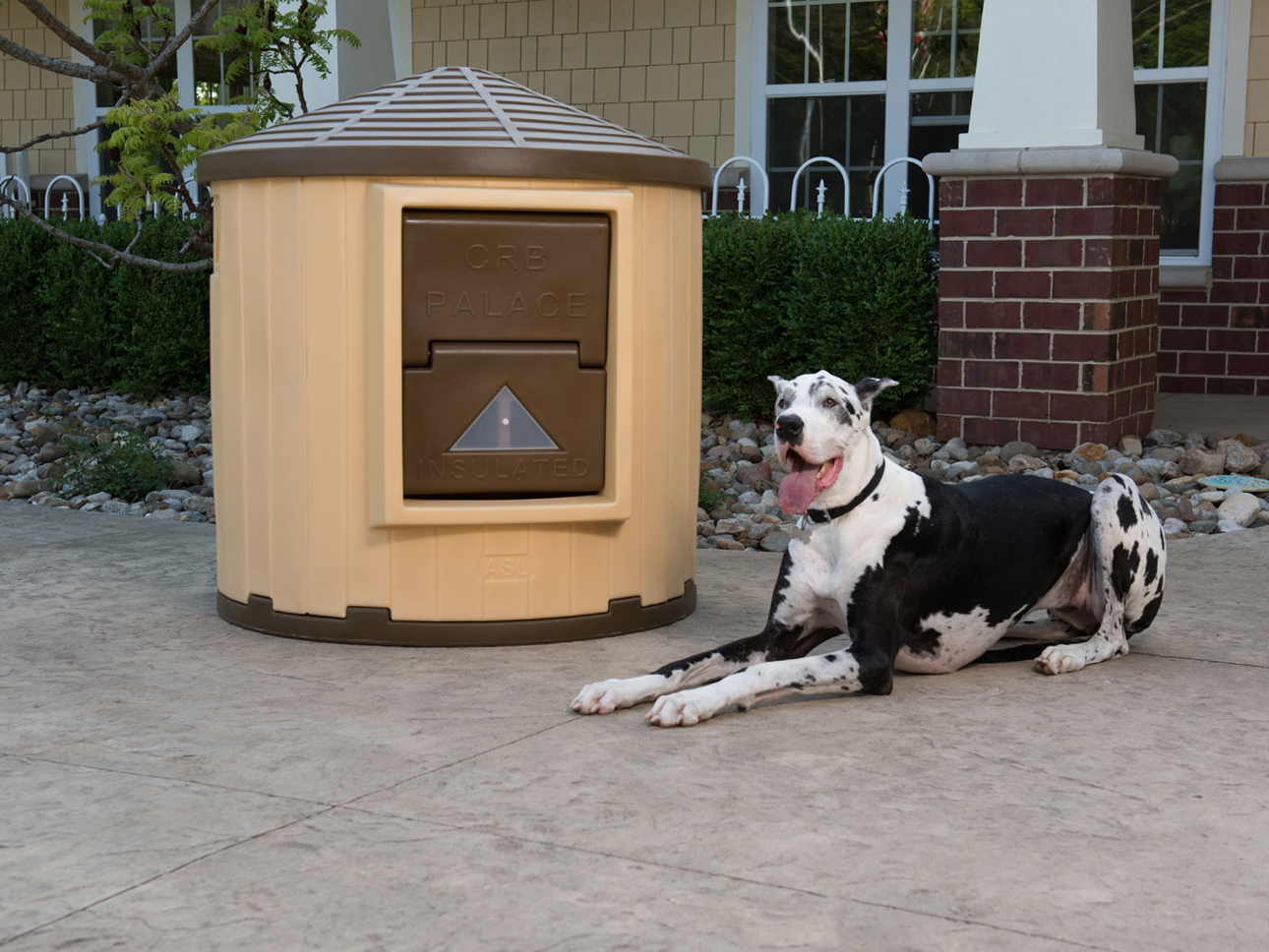 The Ultimate Guide to Igloo Dog Houses National Assemblers