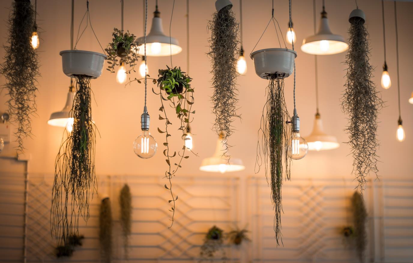 Ecosmart Bulbs: Green Home Lighting | National Assemblers