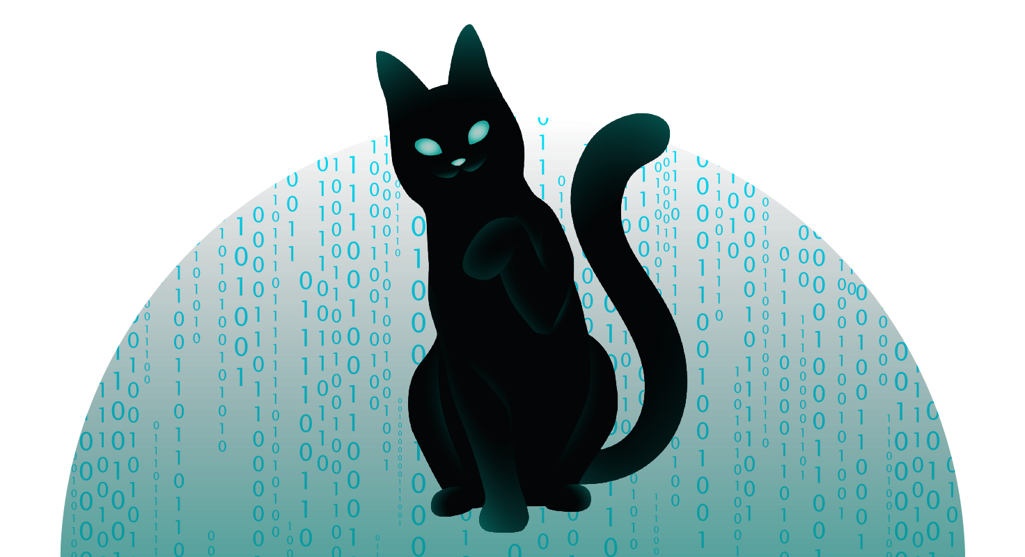 Tax Identification Number (TIN) - What You Need to Know